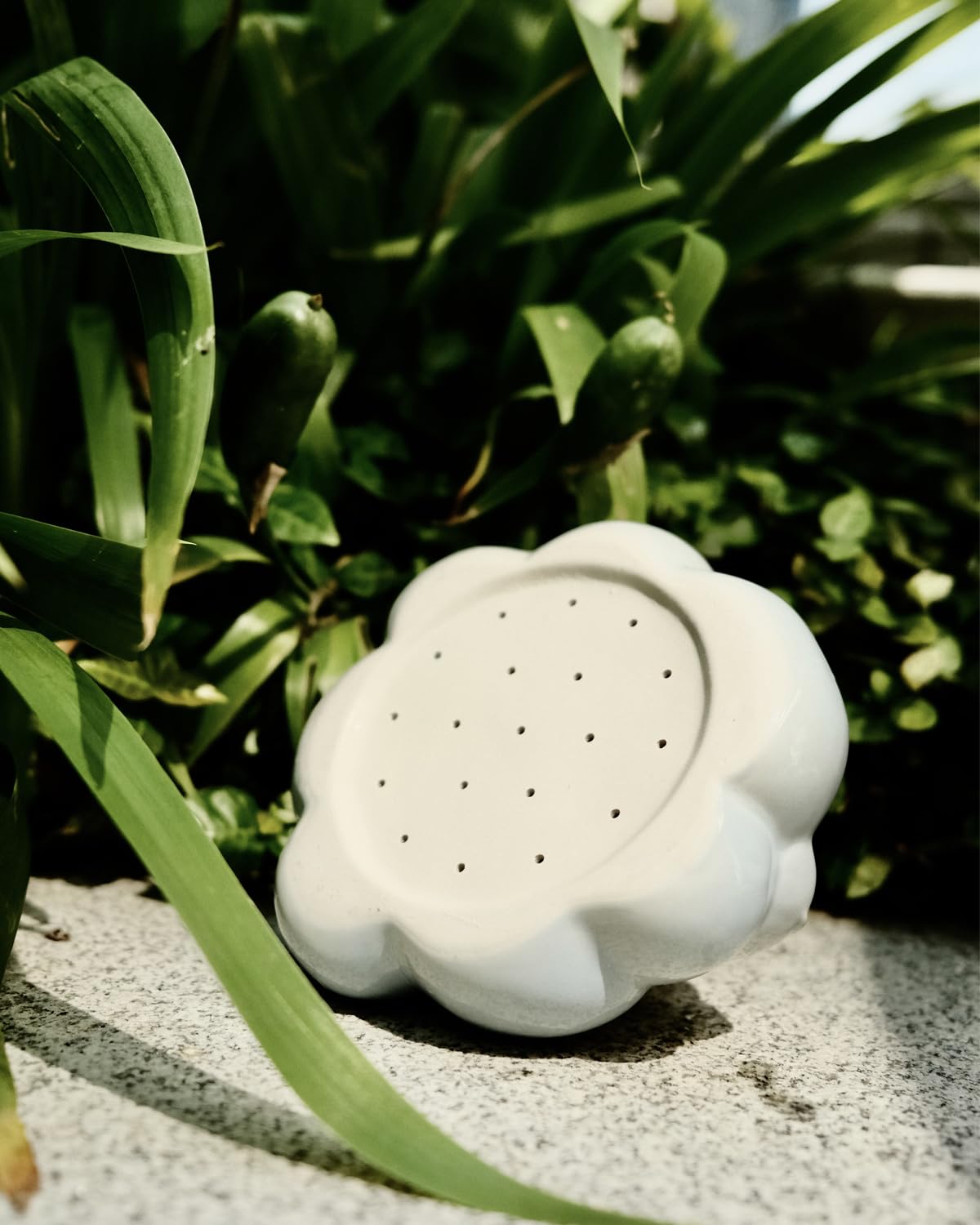 Joli arrosoir en céramique pour plantes d'intérieur et d'extérieur, arrosoir de pluie, nuage, cloche, petit arrosoir pour décoration de jardin