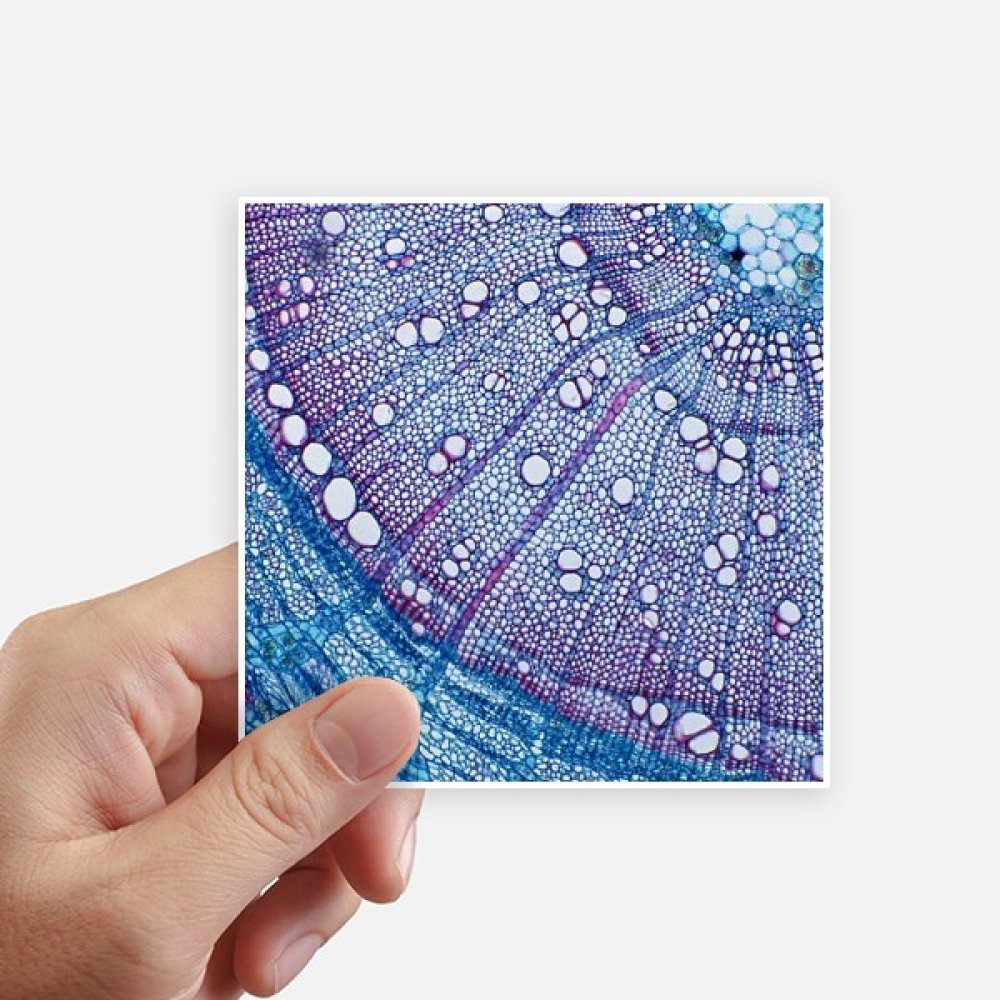 Autocollant carré motif cellulaire bleu 10 cm pour mur et pc