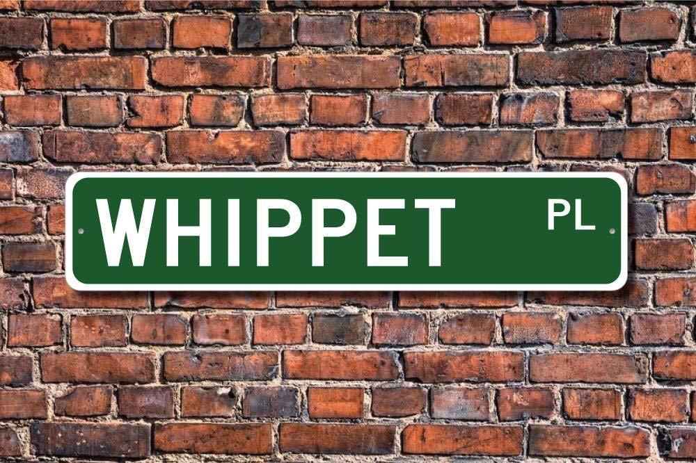 Mnut Metal Street Sign Funny Metal Signs Whippet Sign Whippet Lover Sign Gift For Dog Owner Friend Garage Home Yard Fence Driveway Street Decor 16X4 Inches