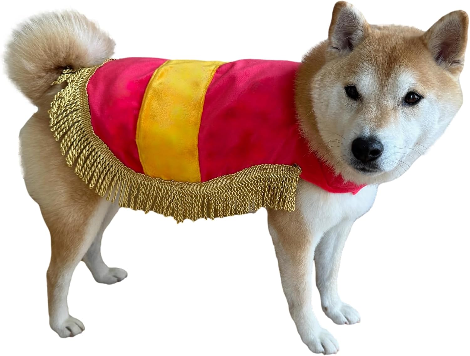 ComfyCamper Royal Red Rug Costume for Dogs - XS Small XL XXL Dress Up Funny Pet Regal Costume Outfit Halloween, L