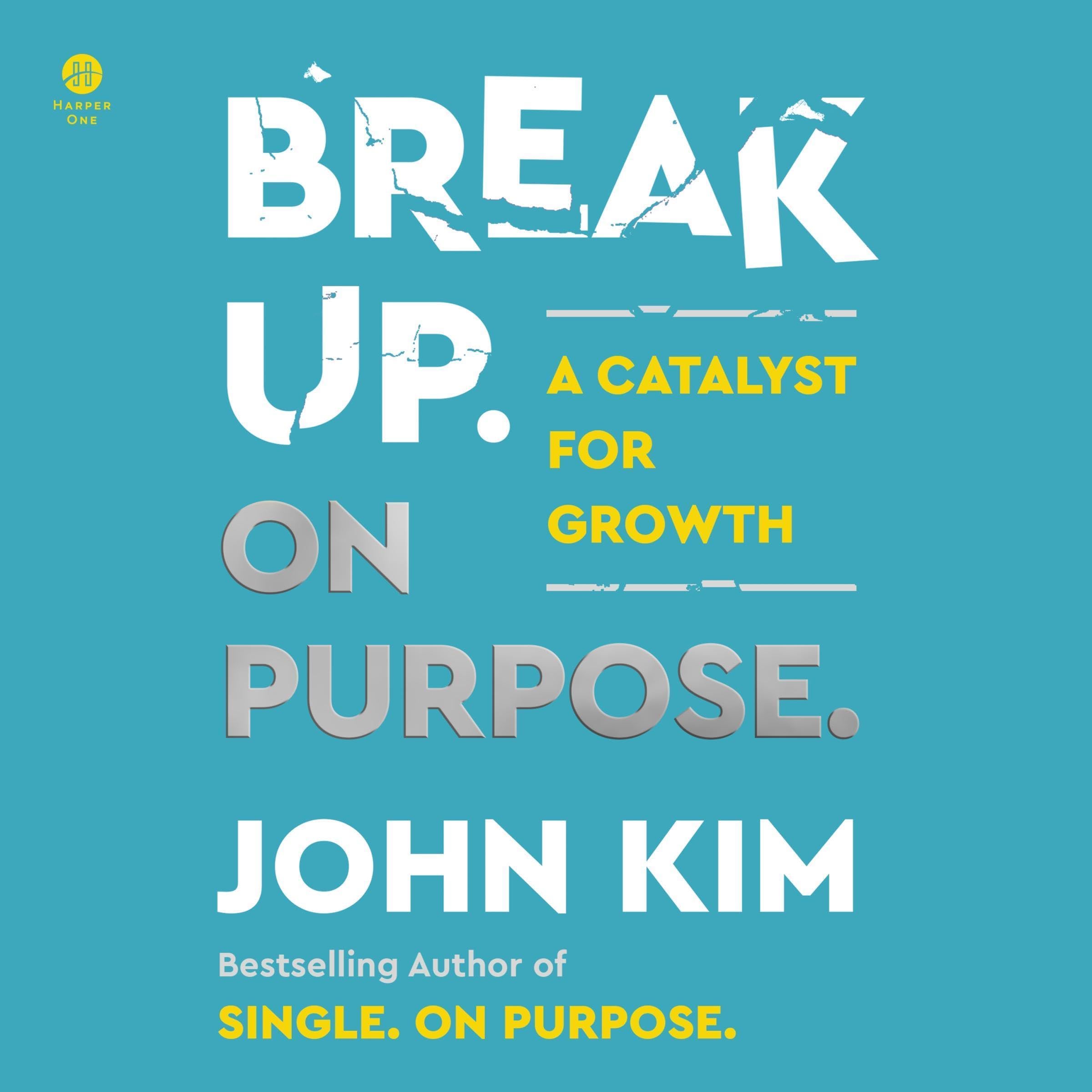 Cover art for Break Up On Purpose
