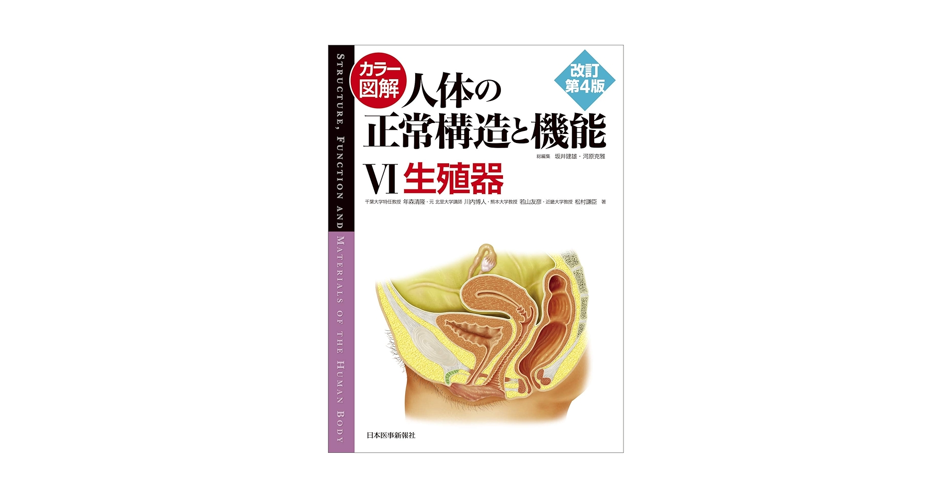 カラー図解 人体の正常構造と機能〈6〉生殖器【改訂第4版】 | 年