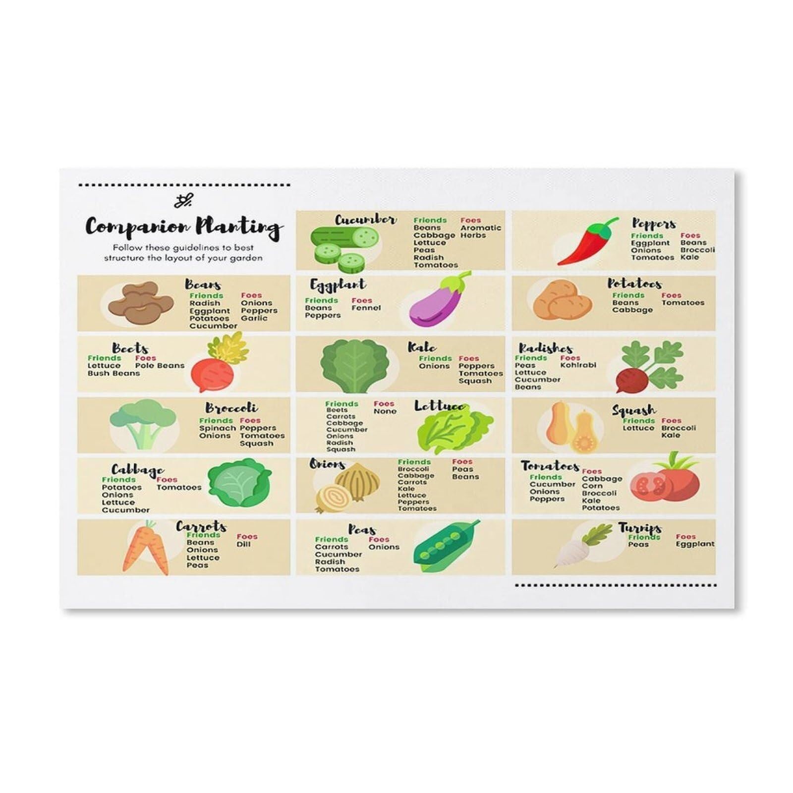 XGINERFEX Kitchen Gardening Poster Companion Planting Chart Guide Vegetable Herb Pairings Reference for Home and Classroom Decor(Unframed,08x12inch(20x30cm))