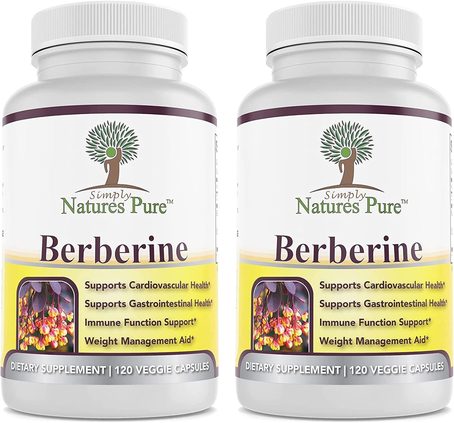 Simply Natures Pure Premium Berberine HCl 500mg – 120 Capsules – Cardiovascular Gastrointestinal Immune Support – Chromium Cinnamon (Pack of 2) Simply Natures Pure Premium Berberine HCl 500mg – 120 Capsules – Cardiovascular Gastrointestinal Immune Support – Chromium Cinnamon (Pack of 2)