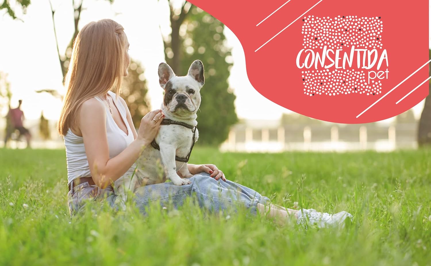 Consentida Harness for Large Dogs T4-42 - 70 x 2.5 cm - Made of Nylon - Mosaic Design - Size XL - Very Resistant and Comfortable - Accessories for Dogs 3