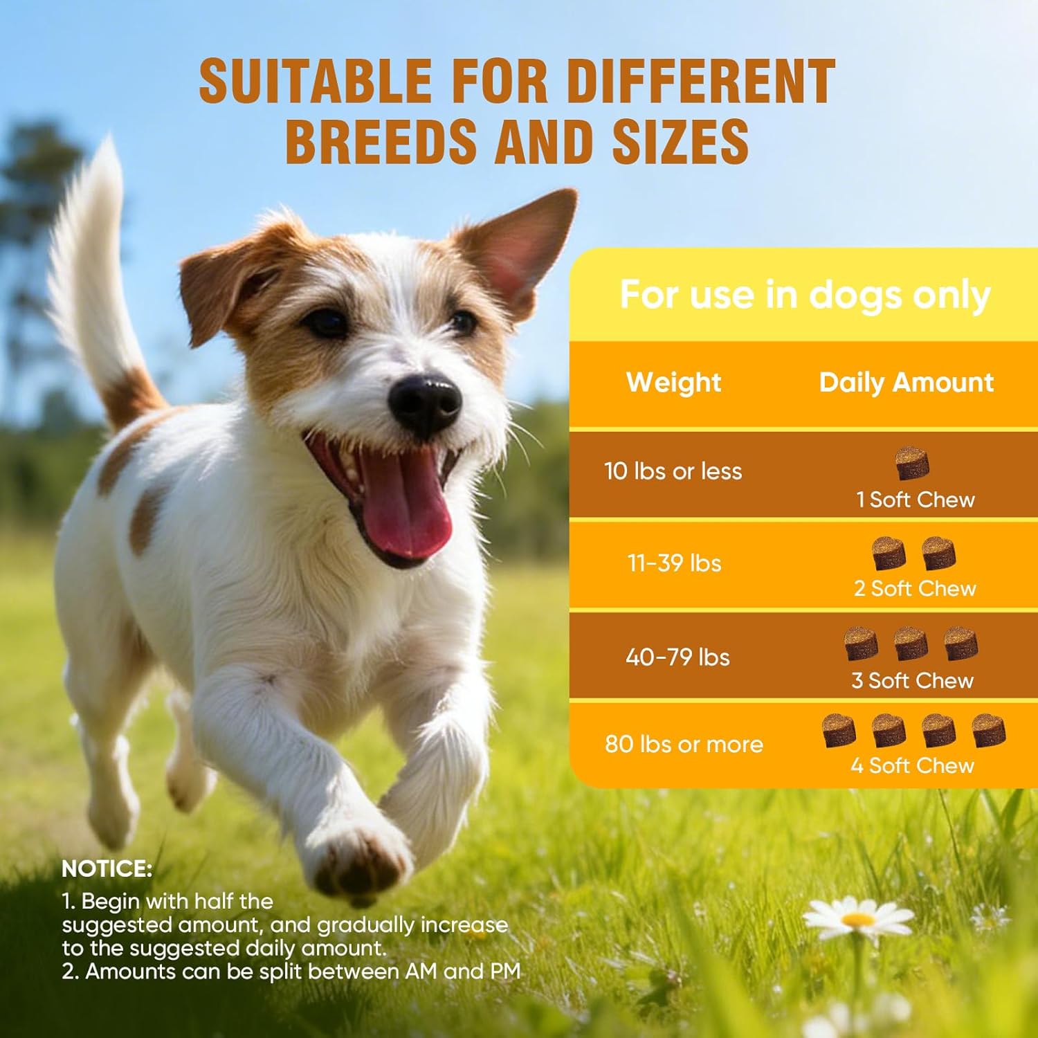 Dog Allergy Chews, Allergy Support for Dogs – Skin, Coat & Immune Balance Chews, 200 Count