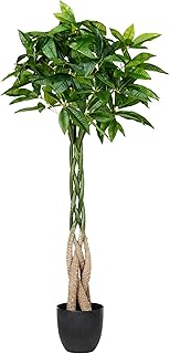 Beliani Planta Artificial en Maceta para Interior decoración de plástico 120 cm con Maceta Negra raíz Trenzada Pachire Tree