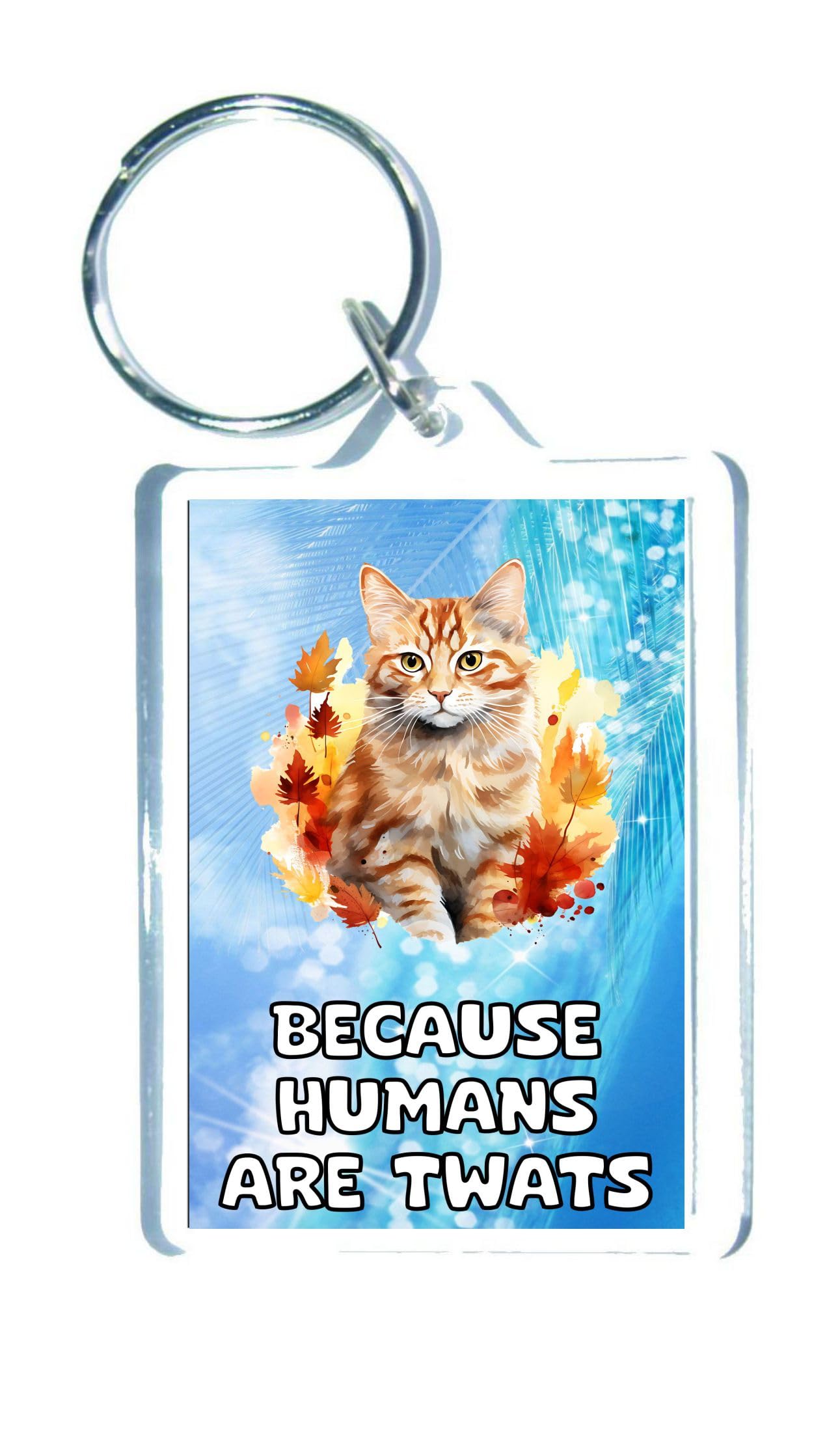 Decalarama Clear Ginger Cat Keyring Gift – Because Humans Are Twats – Cute Novelty Fun Family Animal Present