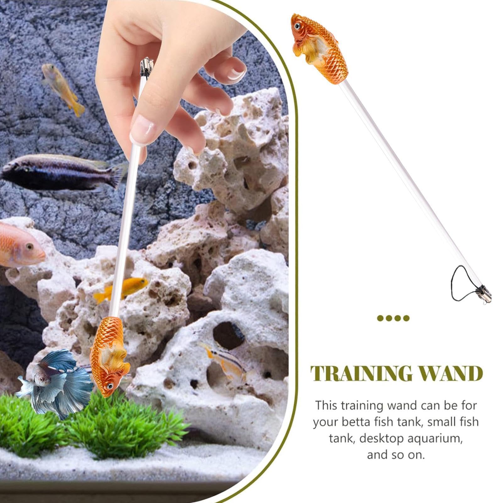 Amazon.co.jp: 魚トレーニングスティック | 水槽トレーニングツール