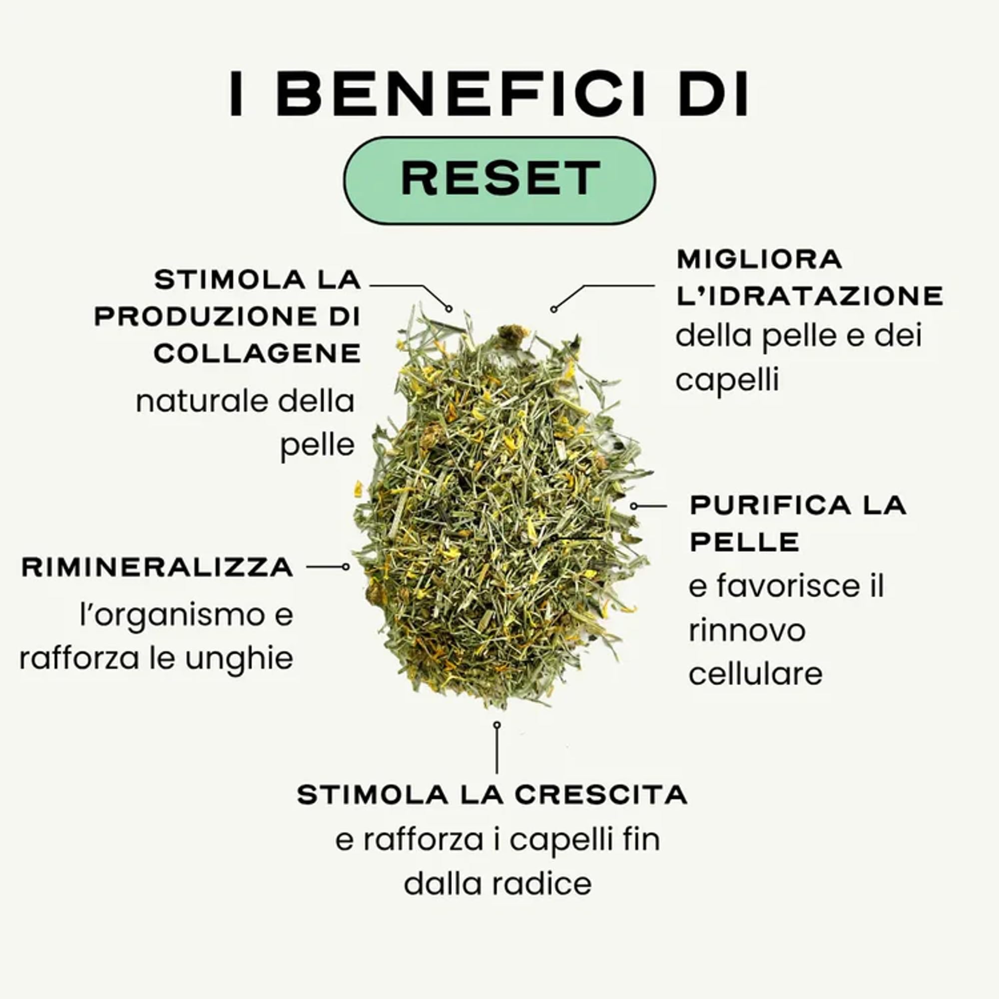 Circles RESET Infusione Bellezza Pelle & Capelli 100g | Equiseto Ortica Calendula Viola del Pensiero | Anti-Età | 100% Naturale Vegan | Made in France