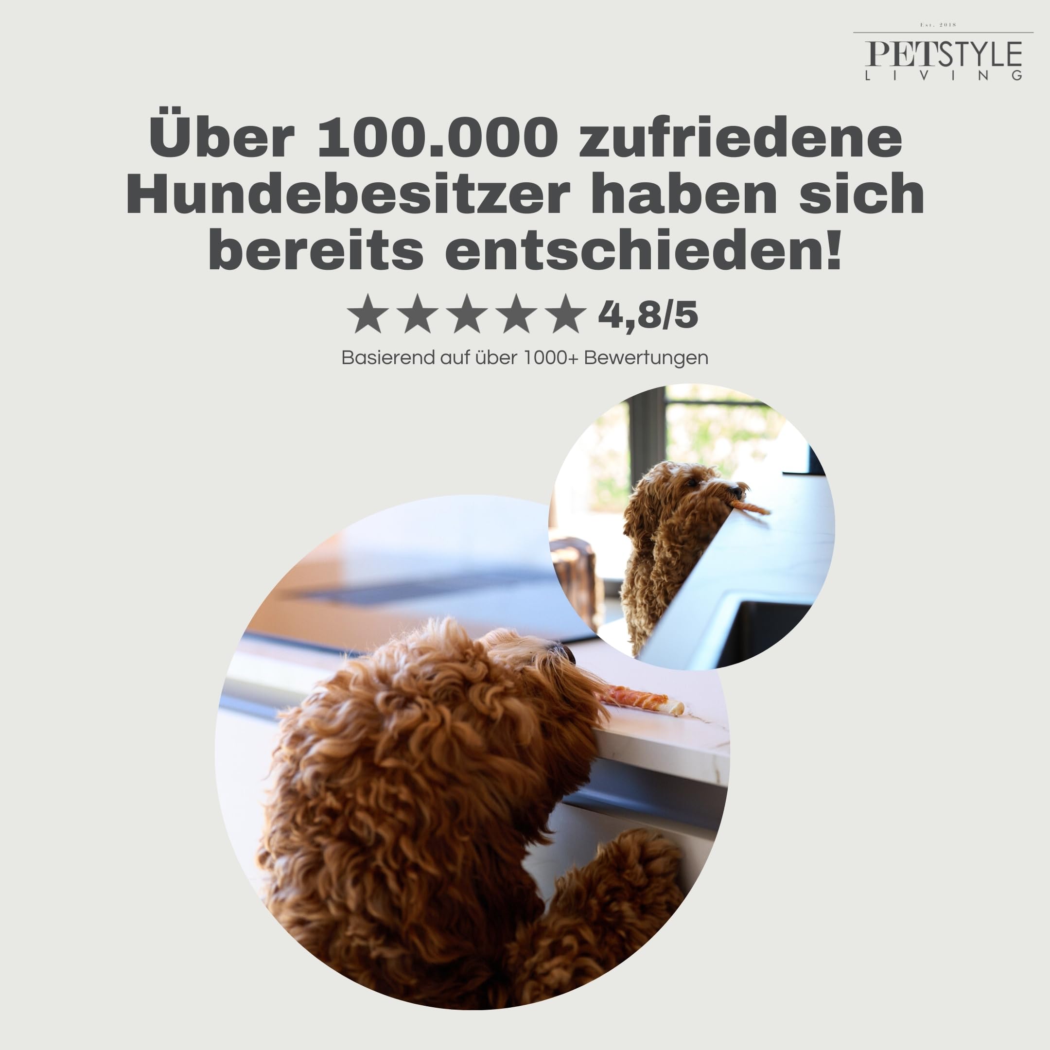 Kaustange mit Huhn - Hundesnack - 12,5cm - 100 Stück