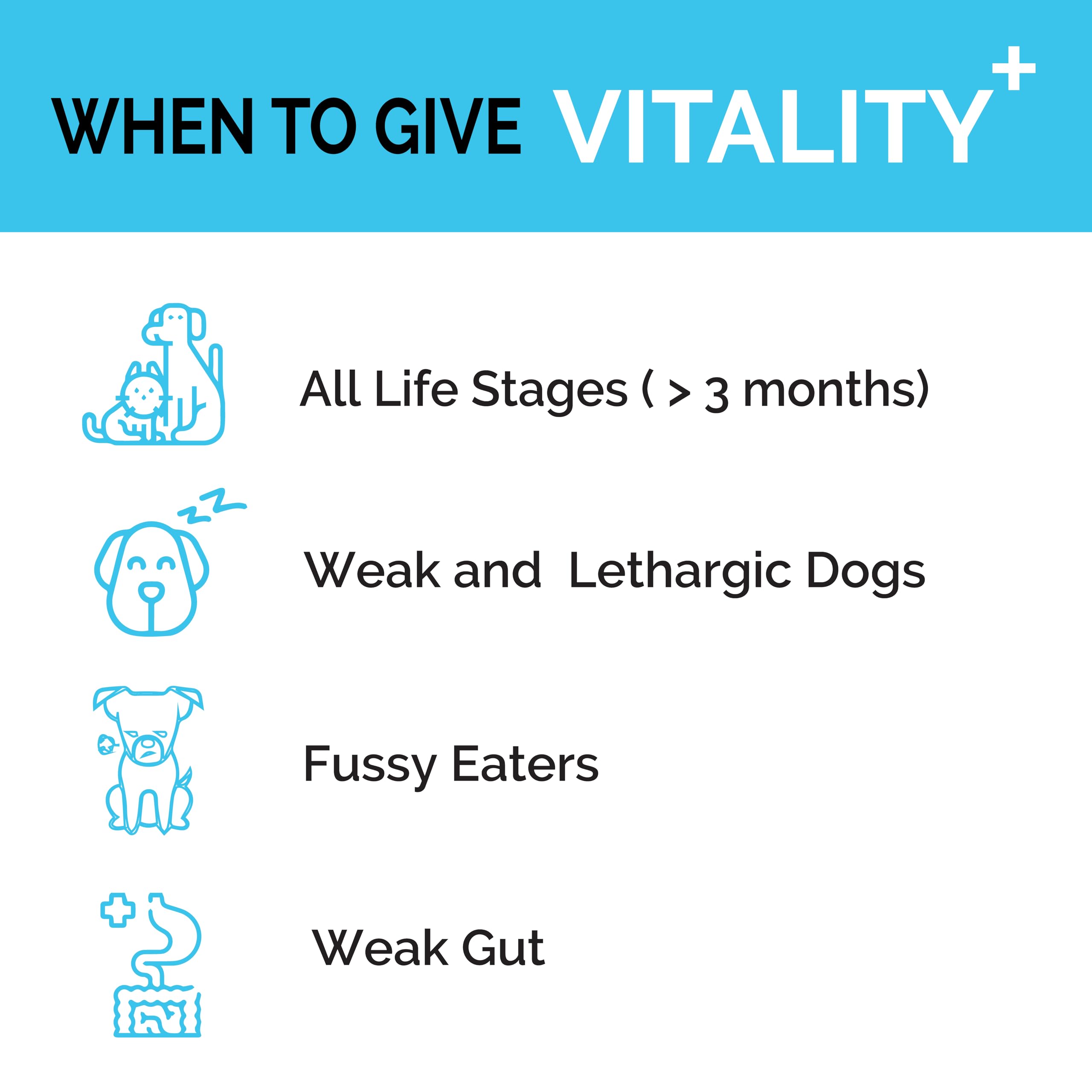 Goofy Tails Canine Vitality+ (100Mlx5Pack) Dog Immuity Booster, Dog Coat Supplement, Gut Supplement, Boosted with Curcuminoids, Ashwagandha, Prebiotics & Collagen for Dogs 2