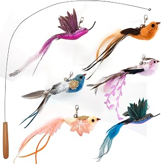 miwooim Interactive Cat Wand Toy - 35" Steel Wire Teaser with 6 Realistic Feather Bird Refills for Indoor Cats
