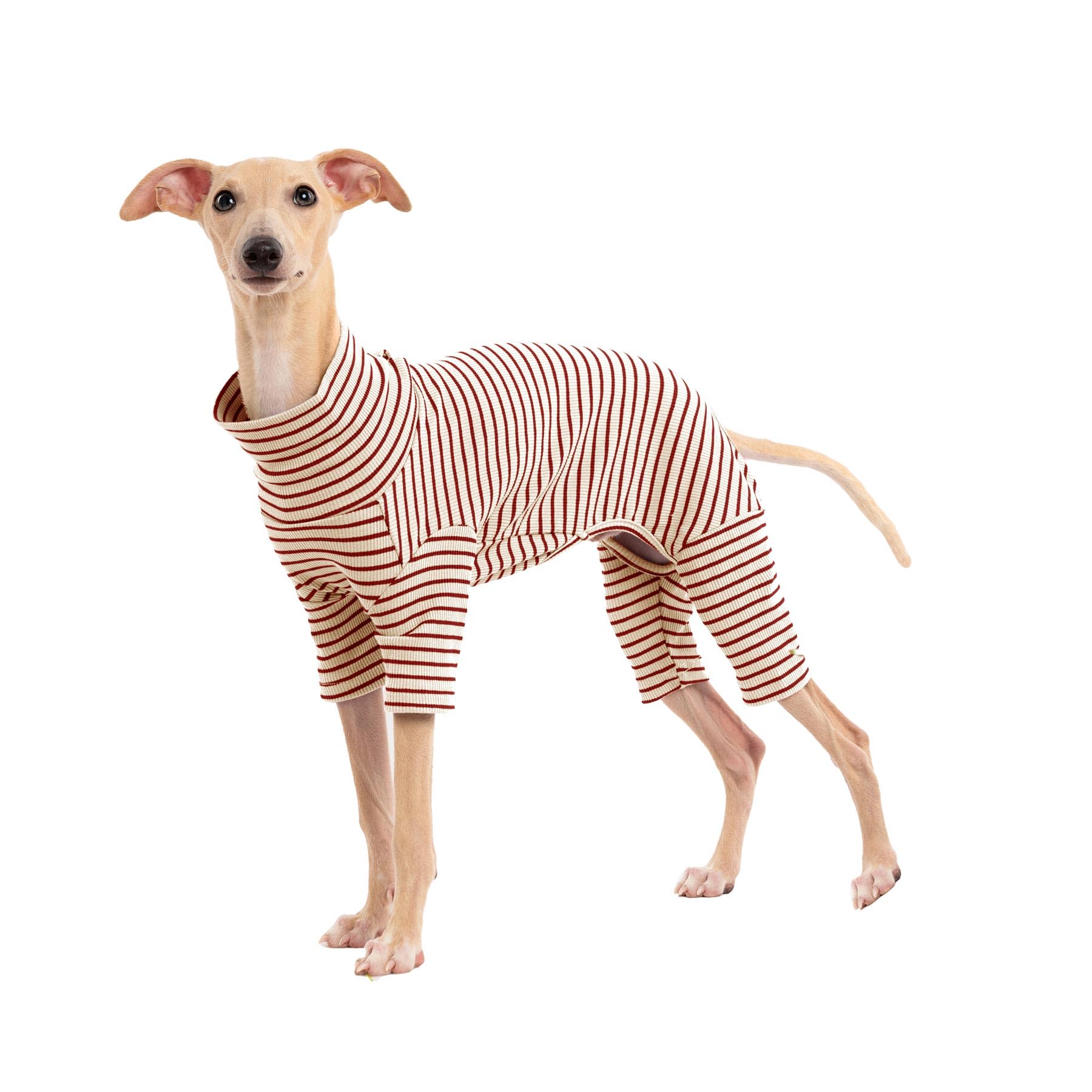 Dog Sweaters for Small Dogs Girls Boys, Striped Pet Sweaters for Fall Winter Dog Clothes, Turtleneck Pullover Knitwear for Small Medium Large Dogs — image 1