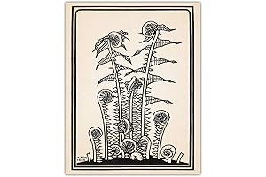 Modern Farmhouse Fern Plant Botanical Art