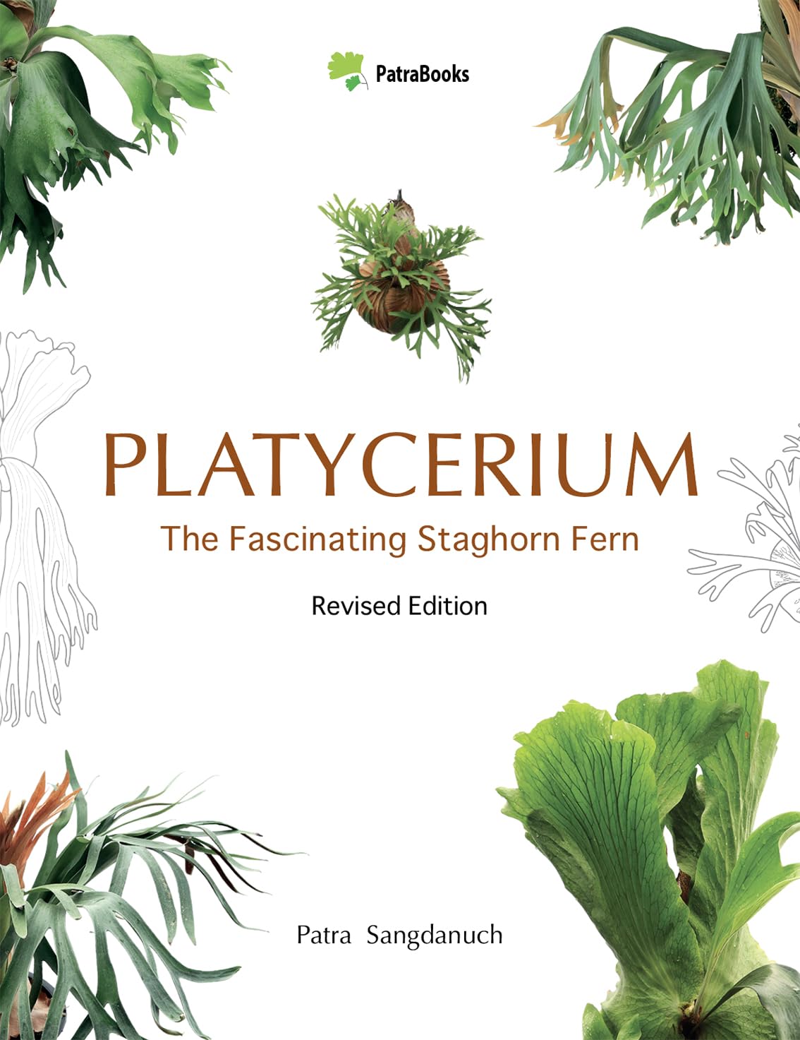 Platycerium: The Fascinating Staghorn Fern: A Collector’s Guide to Staghorn Ferns: Species, Hybrids & Cultivars (Staghorn Fern (Platycerium) Complete Guides)