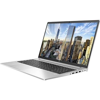 Amazon.com: HP ProBook 450 G8 Business Laptop, 15.6