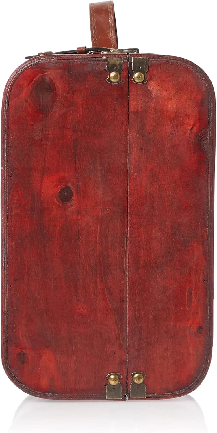 Vintiquewise QI003068.3 3-Colored Vintage Style Luggage Suitcase/Trunk, Set of 3 : Home & Kitchen