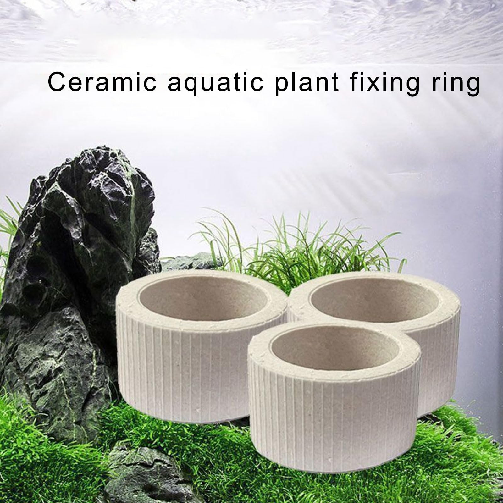 Ancoraggi per piante in ceramica con inserto in spugna, per una crescita sicura della vegetazione dell'acqua in acquari, paesaggi, acquari, piante, pesi, 30 pezzi
