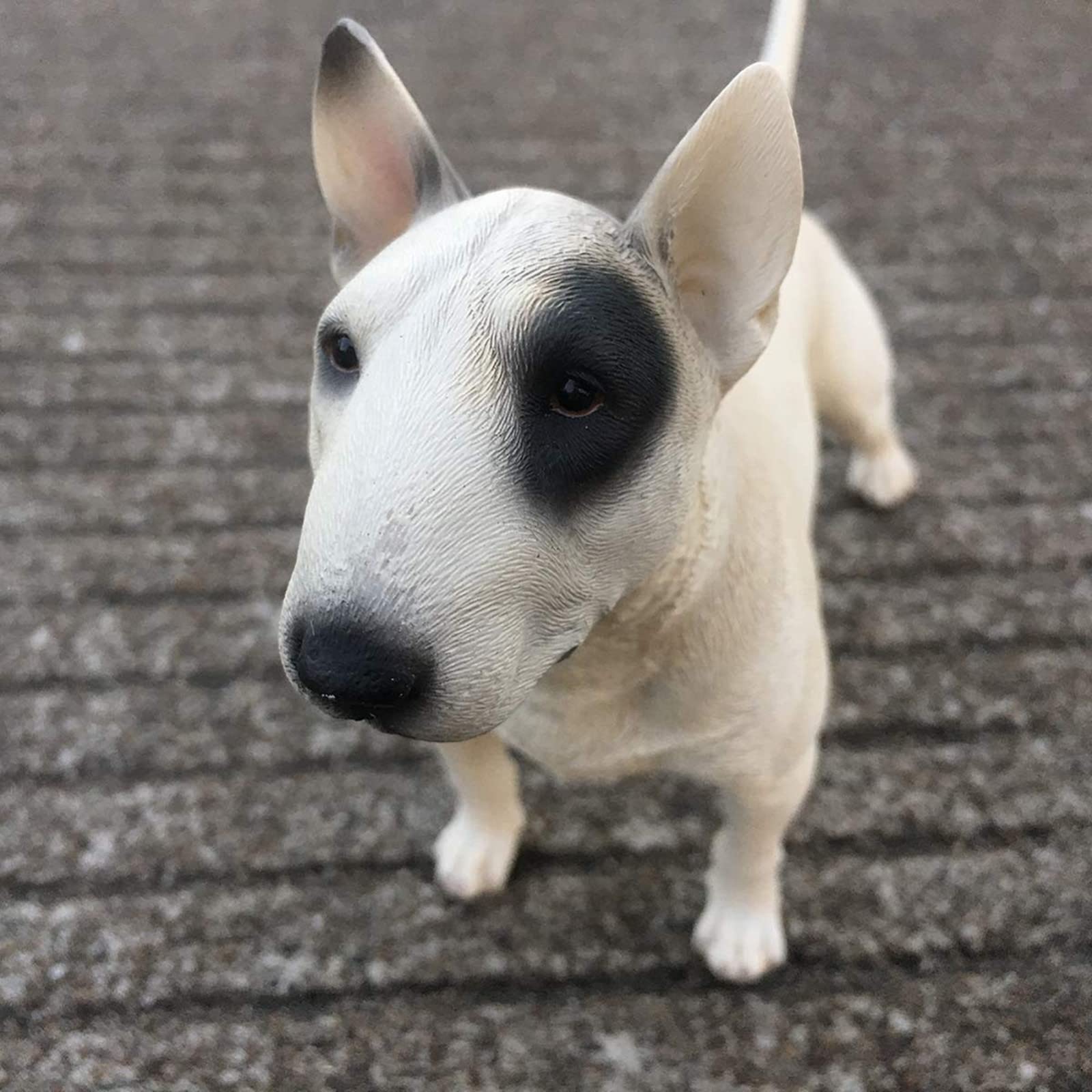 Amazon.co.jp: 5.8インチ ブルテリア犬の像、小さな白いブルテリアの像