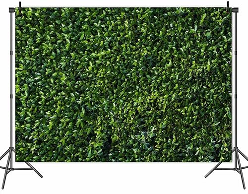 Miniatura 5 de HQM Fondo de fotos con temática de primavera de hojas verdes, 8 x 6 pies, boda, fiesta de cumpleaños, baby shower, fotografía, telón de fondo,