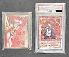 リアス・グレモリー　サイン　プレシャスメモリーズ　psa 10 Amazon.co.jp: PSA10 プレシャスメモリーズ ハイスクールD×D