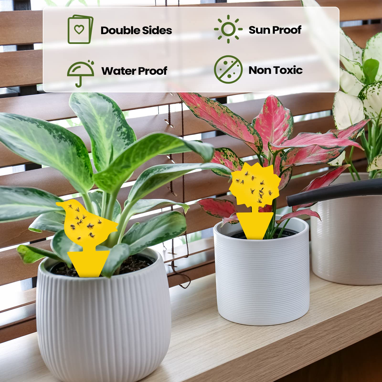 200 hojas de trampas adhesivas para moscas de la fruta para moscas de la fruta, trampa para mosquitos y moscas de la fruta, para interiores de casa, trampas adhesivas para mosquitos, hongos, mosquitos