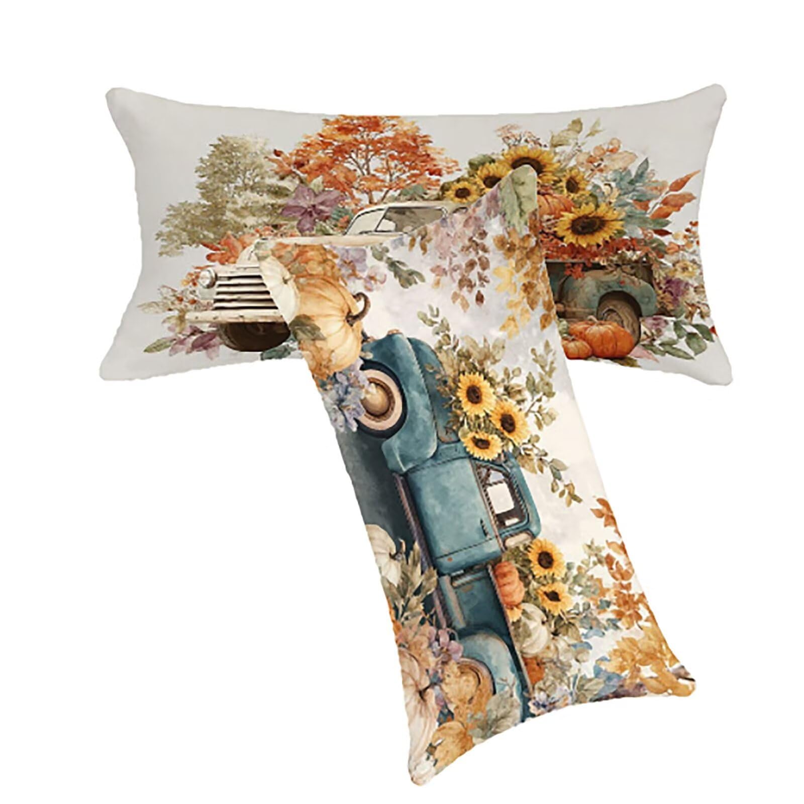 Taie oreiller douce 50x70cm lavable contre coussins ternes