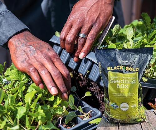 Miniatura 3 de Mezcla para Plántulas Black Gold 8qt