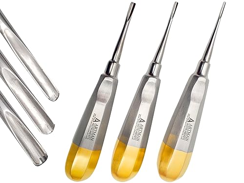 ARTMAN INSTRUMENTS Elevadores de extracción recta dental - Elevadores de punta de raíz y gubia de 0.079 in, 0.118 in, 0.157 in, acero inoxidable