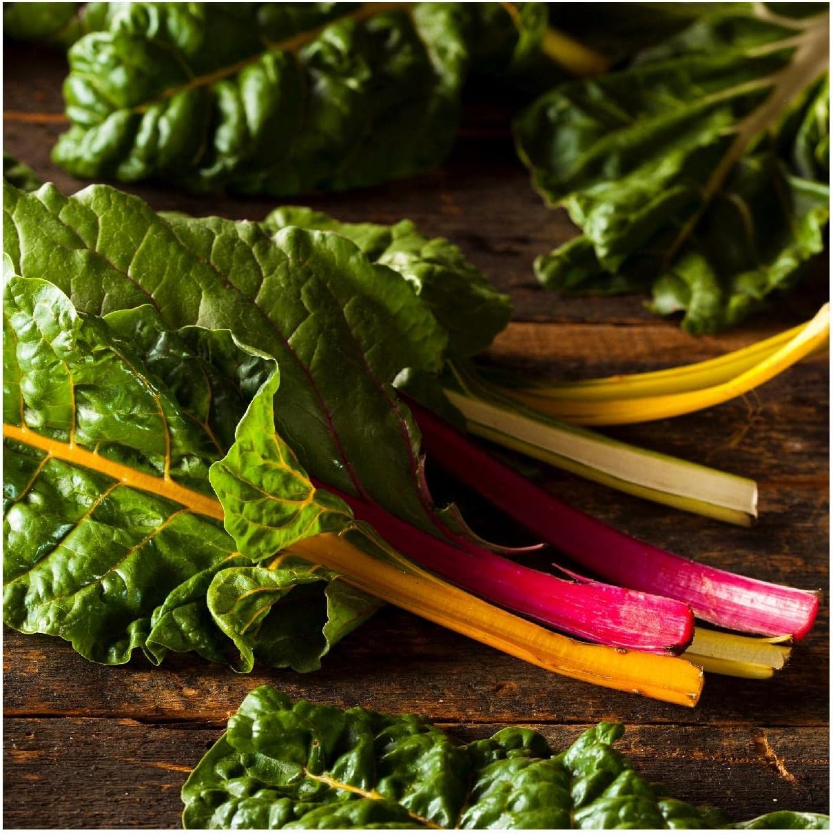 Everwilde Farms - 1 Lb Rainbow Swiss Chard Seeds - Gold Vault