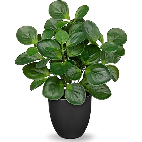 14.5" Artificial Plants Indoor Home Decor, Fake Potted Silk Plants for Shelves Living Room Decorative, Small Artificial Office Desk Plants in Pots, Faux Peperomia Hope Tropical House Plant