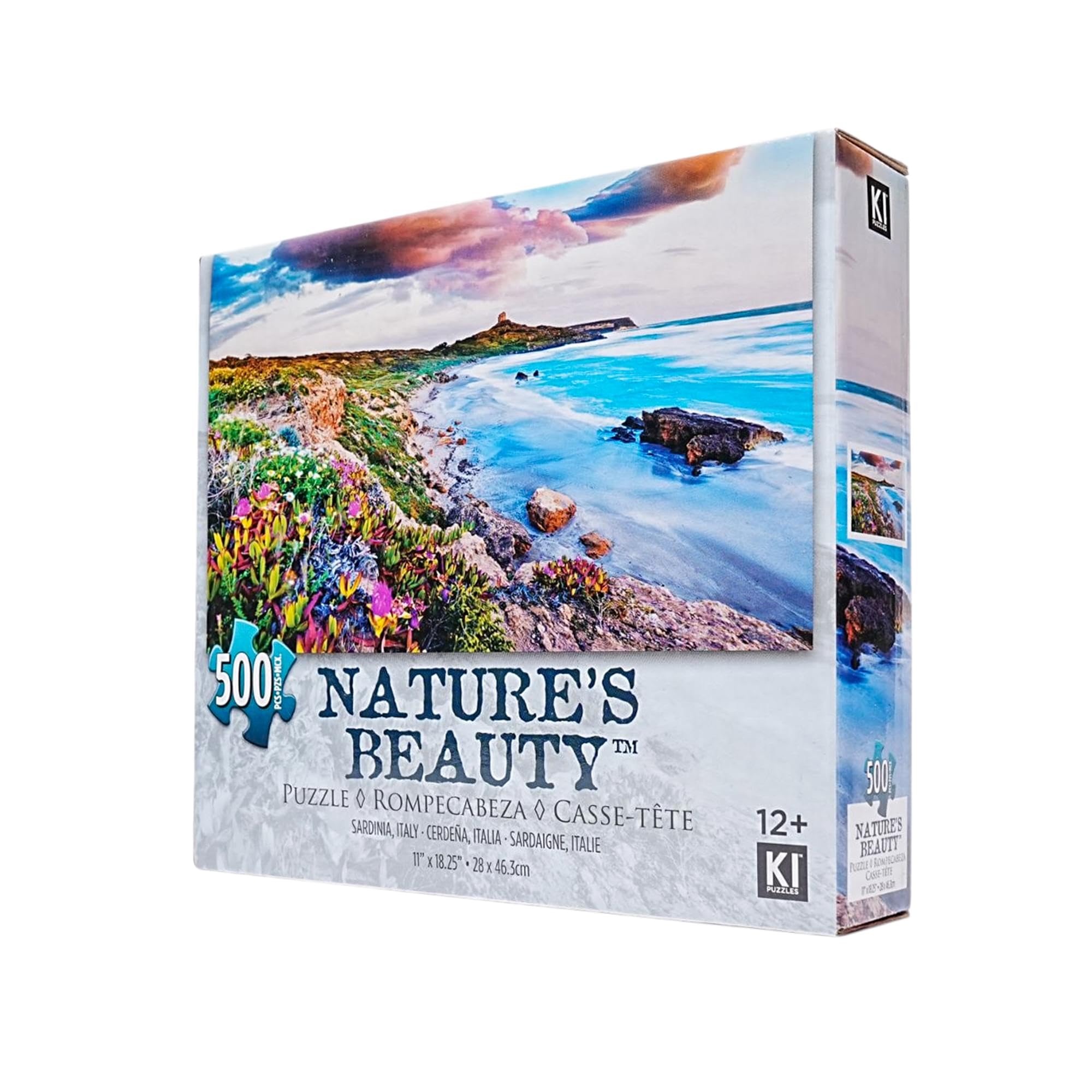 Amazon.com: Pink Sky Beach 500 Piece Natures Beauty Jigsaw Puzzle