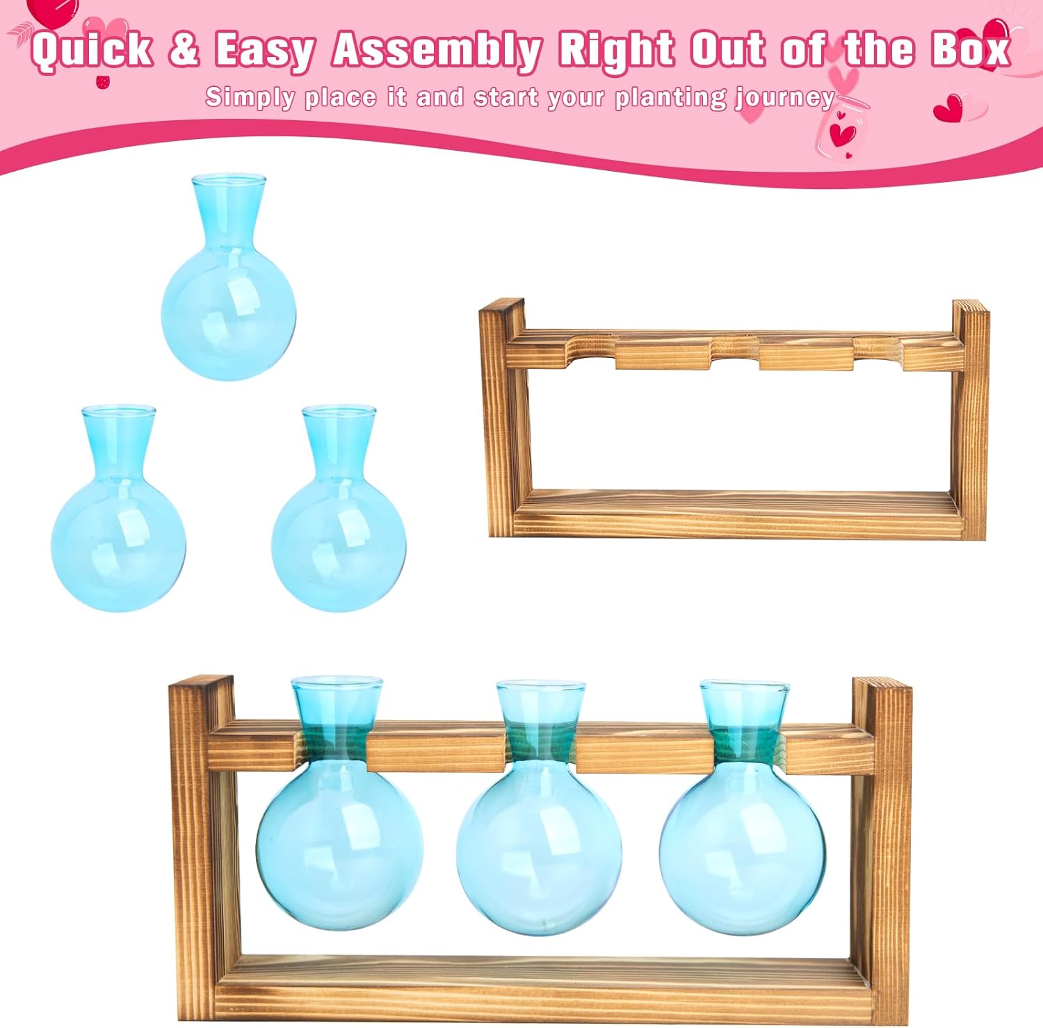 XXXFLOWER Wall Hanging Propagation Station+ 3 Blue Bulb Glass Propagation Station