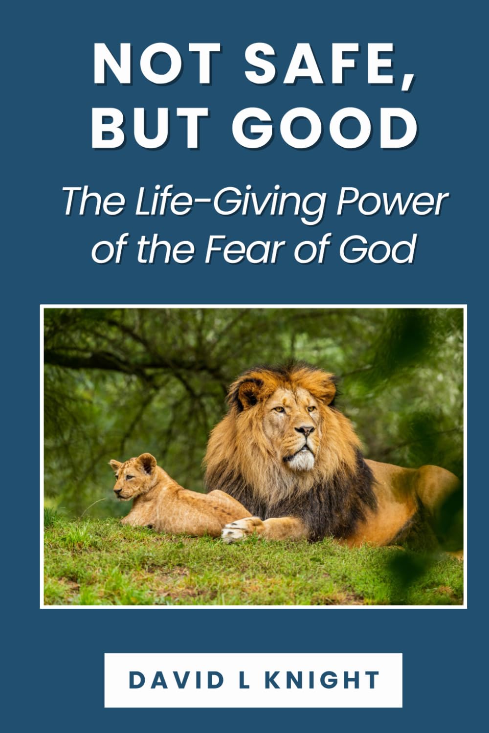 Not Safe, But Good: The Life-Giving Power of the Fear of God