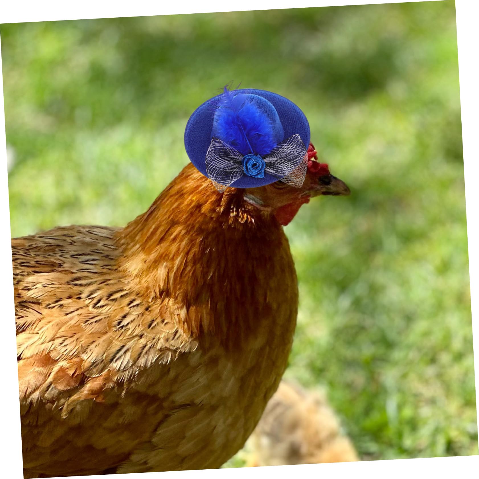 YARNOW 24piezas Sombreros Divertidos para Diseño y Accesorios Decorativos para Aves y
