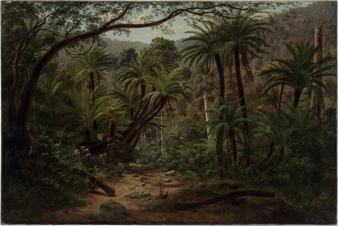 Tableau Ferntree Gully décoration murale grand format pour grand mur - 5