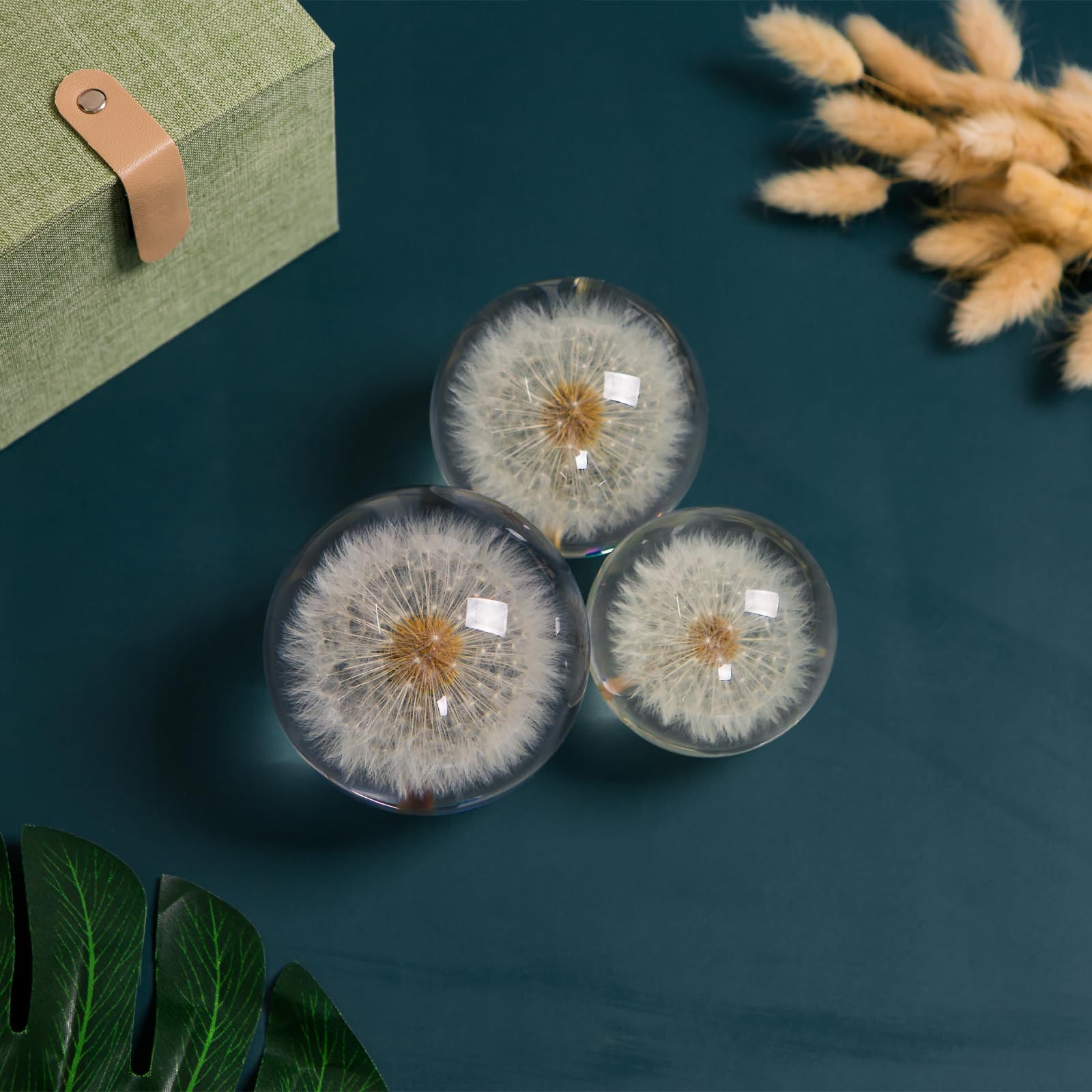 Briefbeschwerer Pusteblume Traumball Kristall Wunschball Einzigartiger Briefbeschwerer aus Pusteblume Geschenk für Frauen Männer (Mama, Papa, Lehrer), Geburtstag, Hochzeit, Valentinstag, Mutter (9 cm)