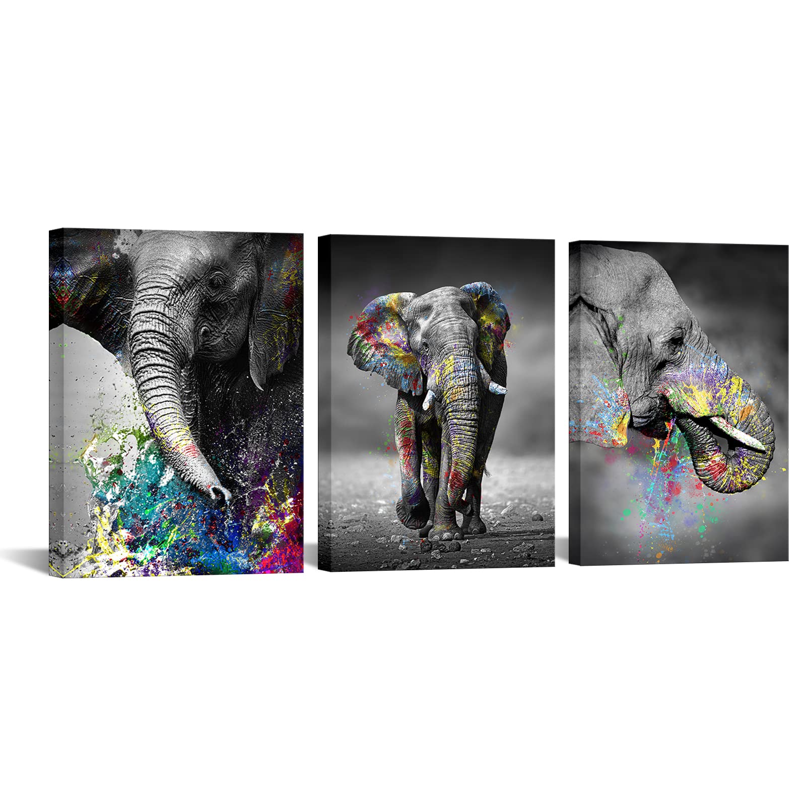 VANSEEING Elephant Canvas Wall Art Decor Black and White Colorful Animal Pictures Poster Modern Abstract Home Office Bedroom Nursery Wall Decor