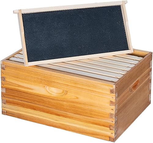 Honey Lake Caja de abeja Langstoth de 8 marcos, con revestimiento de cera de abeja, con marcos y bases de plástico (sin montar)