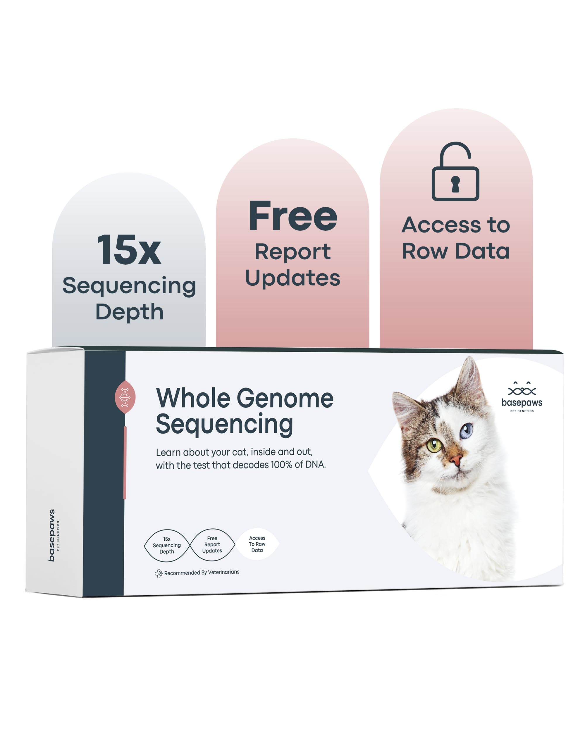 Basepaws Cat DNA Test Kit - Comprehensive Breed, Health and Dental Analysis Across 114 Traits for Accurate and Easy-to-Use Genetic Insights (Cat Whole Genome Sequencing, Basic)