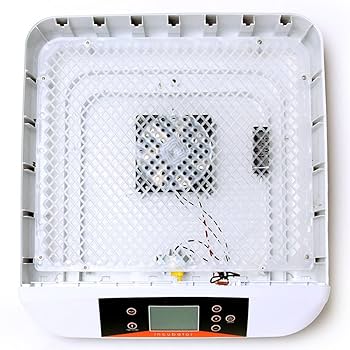 Ｍ-Ｒ-Ｔ　LED 鳥類専用孵卵器　孵卵機　インキュベーター Amazon | TRQQO 自動孵卵器 鳥類専用インキュベーター 自動転卵
