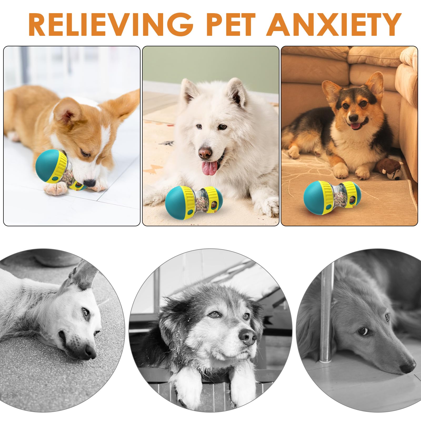 MeoZynxadril Giocattolo Interattivo per Cani, Intrattenimento e Alimentazione Lenta, Intelligenza, per Razze Piccole, Medie e Grandi