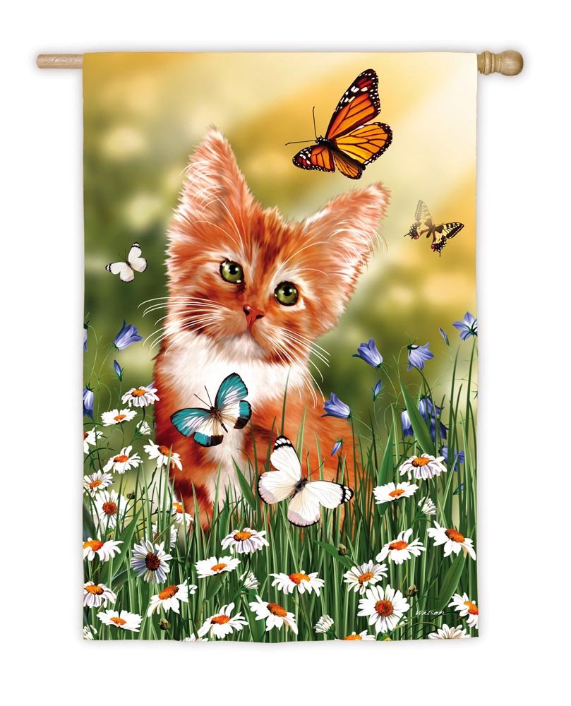 Drapeau de taille standard Chaton souhaitant apporte de la douceur