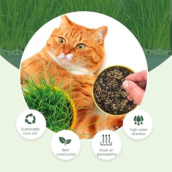 Doter Organic Potting Soil for Indoor Cat Grass, Great Seedling Soil for Wheat Grass, Bermuda, Catnip, and All Indoor Herb Plants