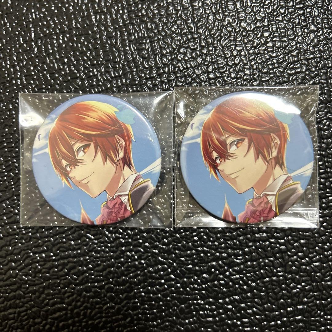 浦島坂田船 となりの坂田 缶バッジ うらさかキングダム