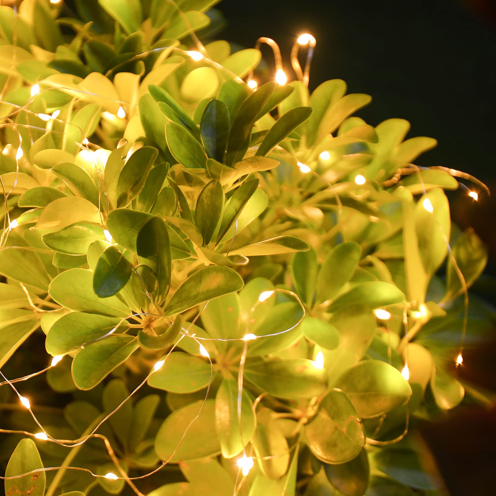 Guirlande lumineuse de Noël Mandiq 100 LED de 10 m, alimentée par USB, 8 modes, mini lumières avec télécommande, convient pour les fêtes en intérieur, les décorations de la maison (blanc chaud)