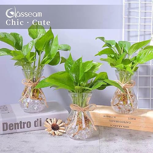 Miniatura 7 de Glasseam Jarrón de cristal transparente para flores juego de 6 bombillas para forzar bombillas de jacinto jarrones pequeños para centros de mesa