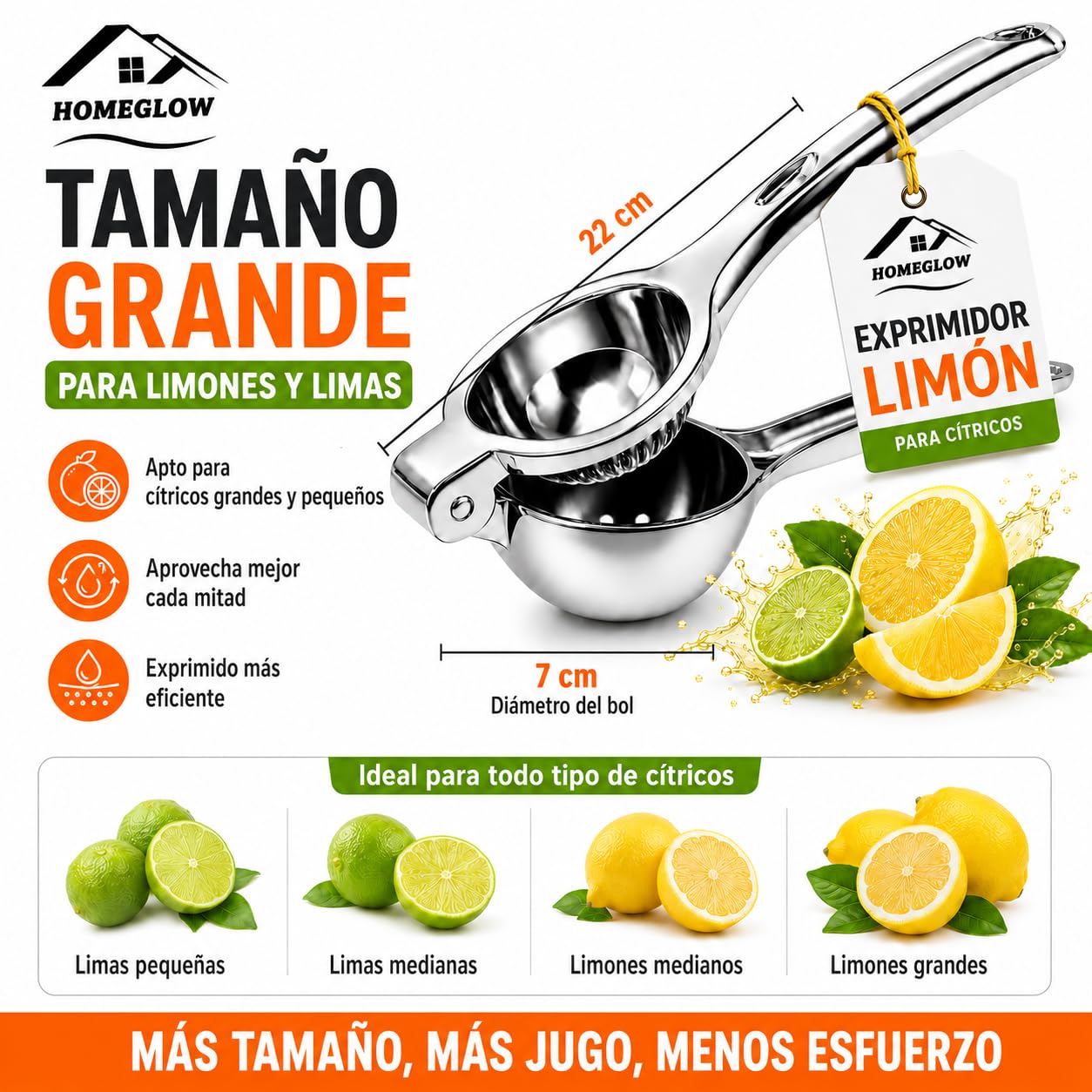 Exprimidor de Limón Manual de Acero Inoxidable Grande HOMEGLOW · Prensa Cítricos para Limones y Limas · Resistente Ergonómico para Cocina Doméstica y Profesional