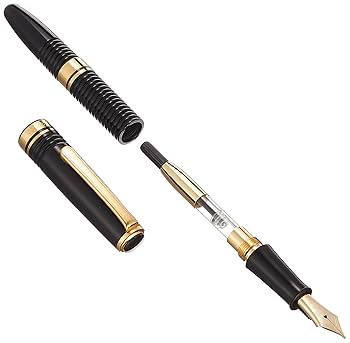 Amazon | PLATINUM プラチナ万年筆 #3776ギャザード ブラック